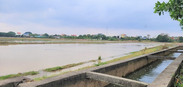 Hoàn thành đổ ải ngay trong đợt 1 xả nước các hồ thủy điện (18/01/2024)